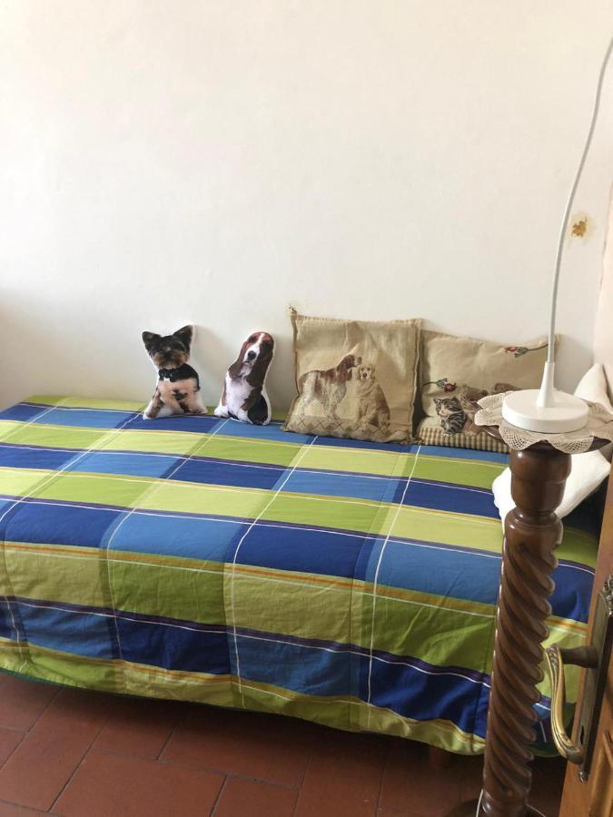 Solo Traveller Bedroom In Homestays Center Séjour chez l'habitant